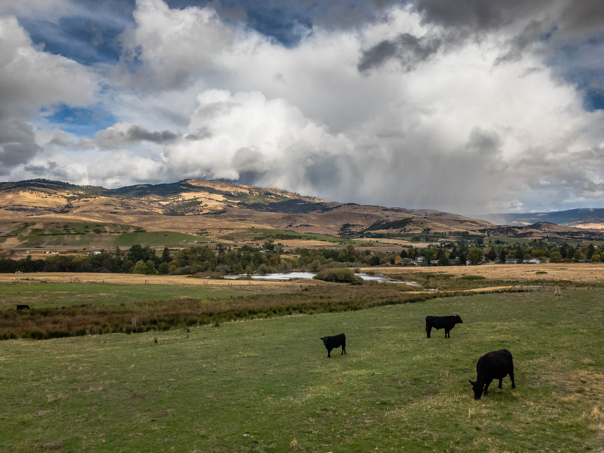 The Top 10 Restaurants And Cafes In Ashland, Oregon