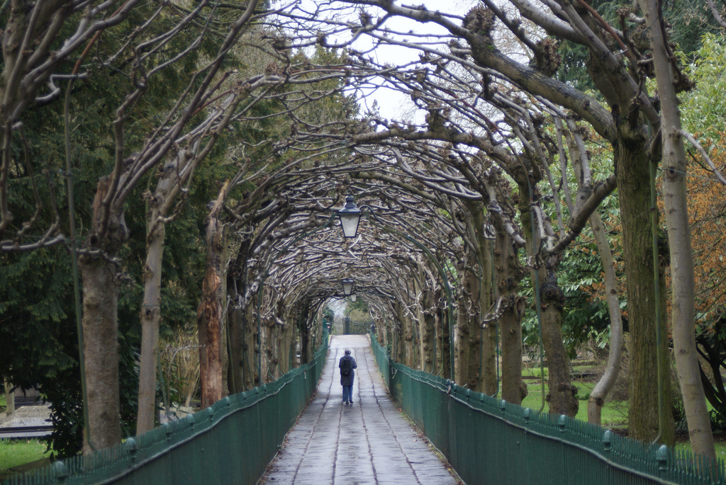 The Top 10 Things To Do And See In Clifton, Bristol