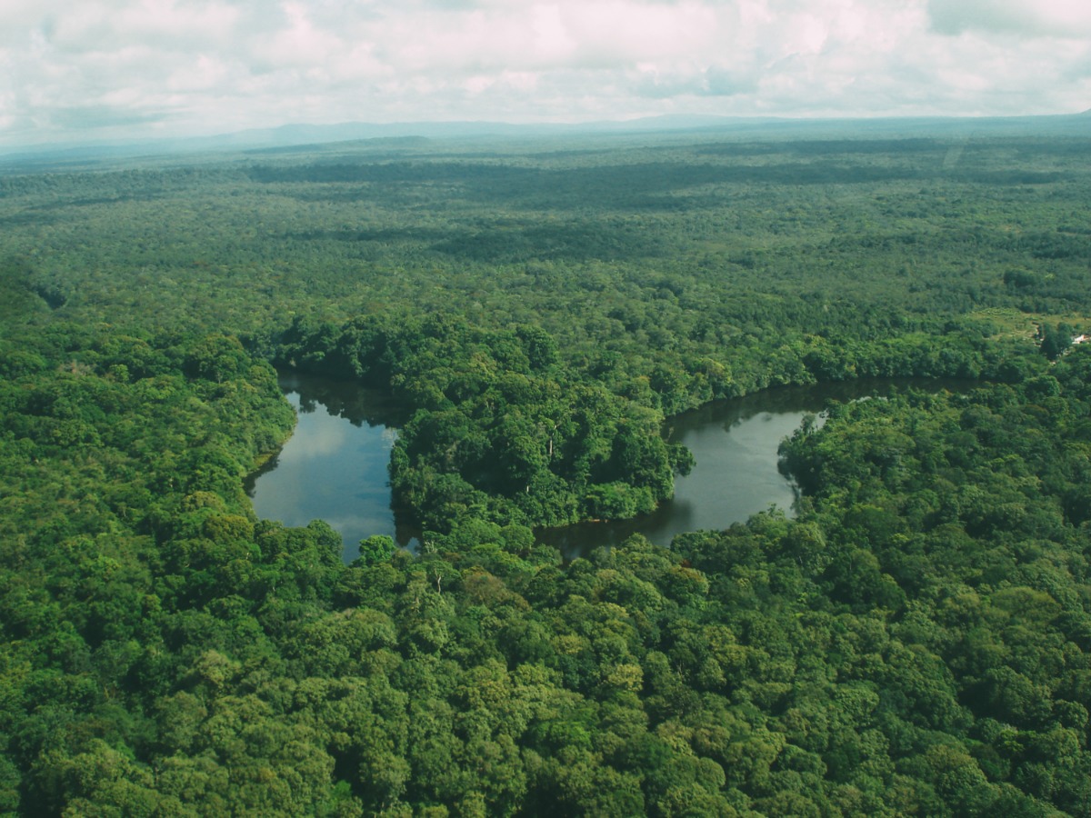 10 Things You Didn't Know About Guyana