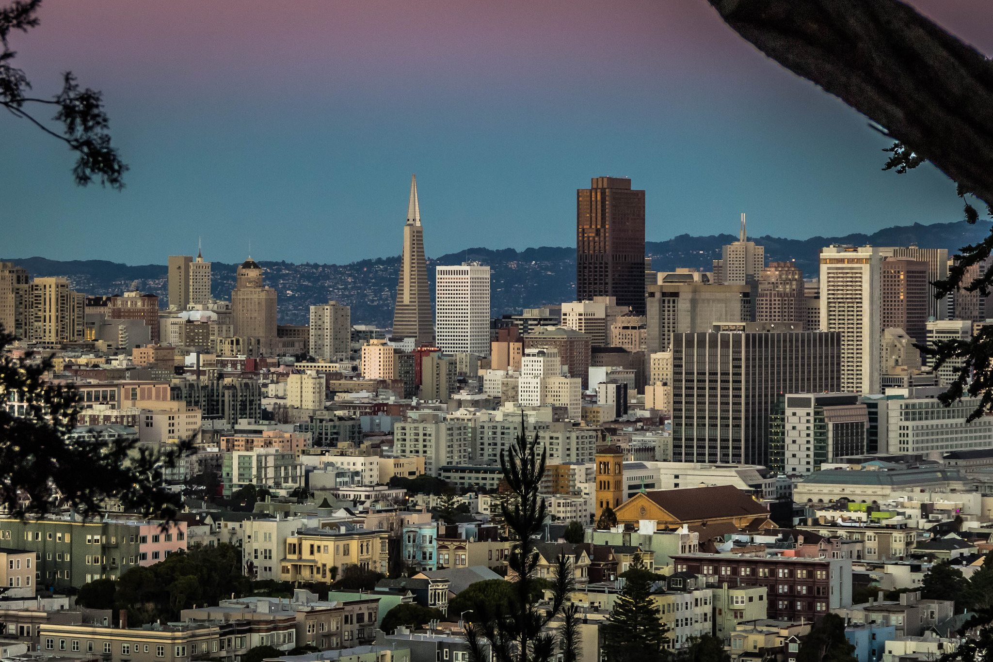 A Brief History Of San Francisco’s Buena Vista Park