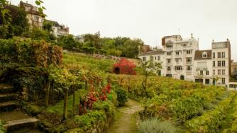 The Montmartre Grape Harvest Festival