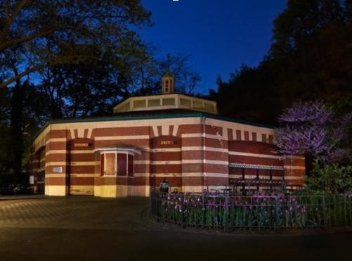 Central Park Carousel, from the Night Candy series courtesy of Carol Dragon