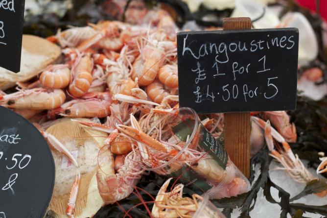 Langoustines
