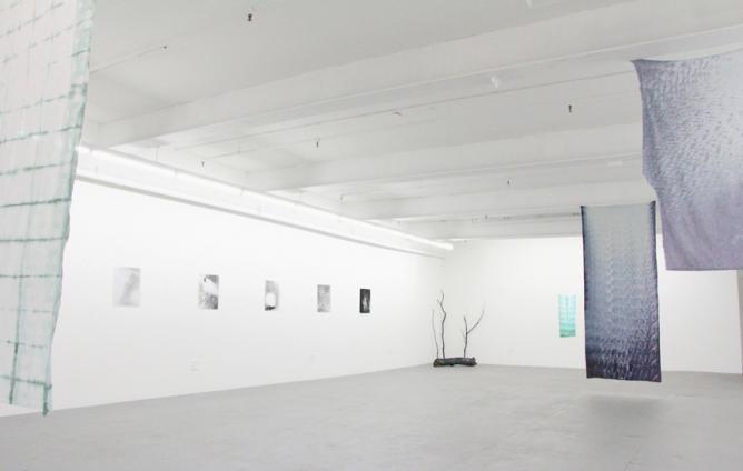 Microscope Gallery, installation view of Allison Somers' 'Enfolding' exhibition | © 2014 Microscope Gallery