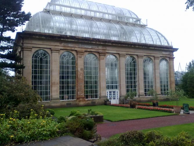 Courtesy Royal Botanic Gardens Edinburgh ©Brian McNeil wiki commons