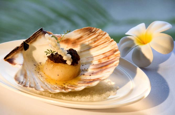 roast scallops balchao, saboodana papad, kokum powder