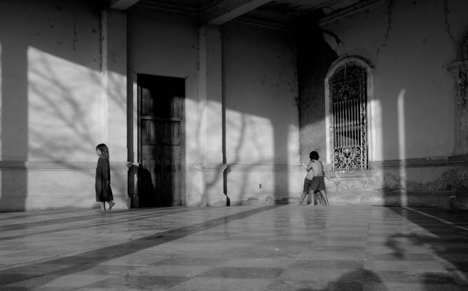 Courtesy of Isabel Buruma: Uprooted | © Silvana pestana & Sonia Cunliffe