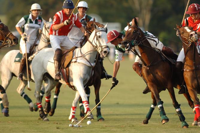 Polo in Aiken | Courtesy of Visit Aiken SC