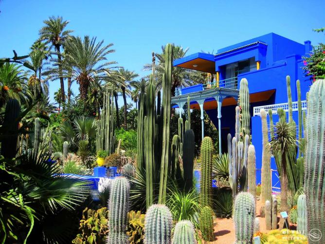 Marrakech's Majorelle Gardens