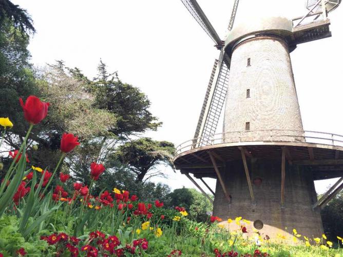 Dutch Windmill and The Queen Wilhelmina Tulip Garden | © Sarah Nguyen/Wikicommons