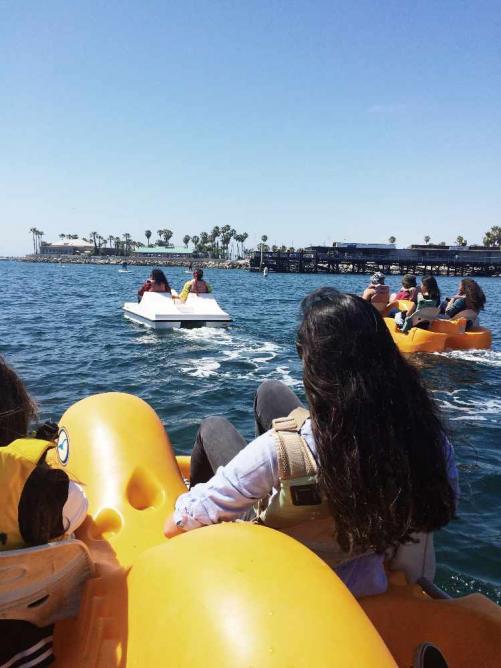 pedal boat kayak rentals redondo beach a day in south bay exploring la s beach towns pedal boat kayak rentals redondo beach a day in south bay exploring la s beach towns