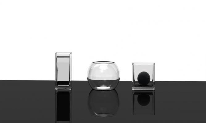 Waldorf Project, Futuro
