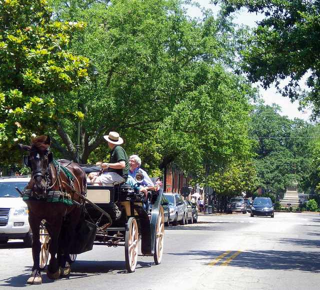 Carriage Tours of Savannah | &#xA9;&#x200E; BEV Norton/Flickr