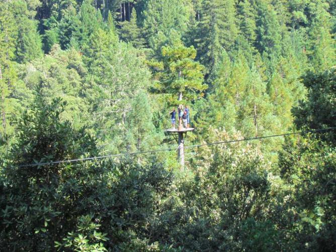 Sonoma Canopy Tours | &#xA9; Steven Miller/Flickr