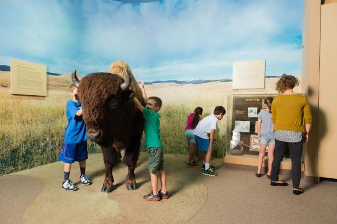 Courtesy of Carnegie Museum Of Natural History