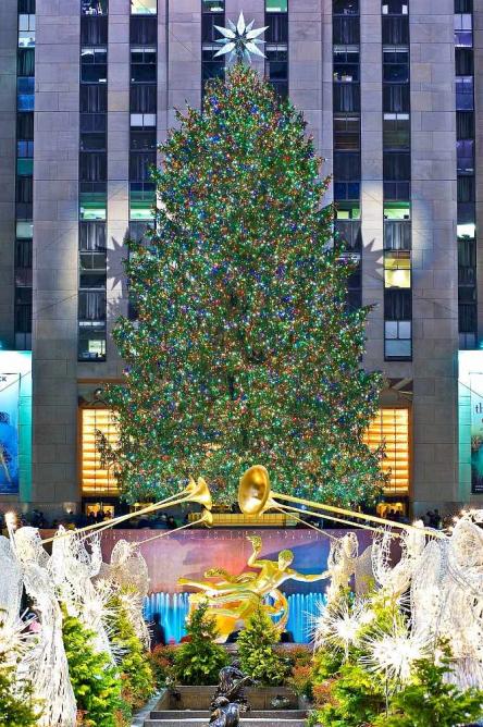 Rockefeller Center Holiday Tree l © Bart Barlow/Tishman Speyer