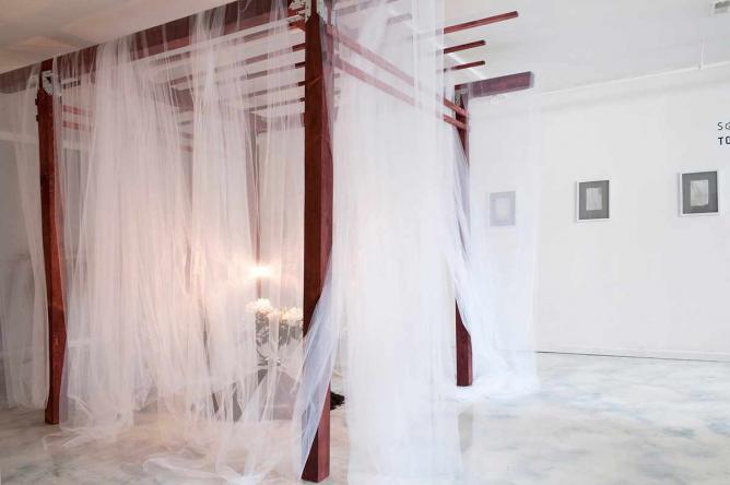To What Once Was, Sophia Sobers, 2014, wood, fabric, rhododendron, soil, and light | Image courtesy of Sophia Sobers