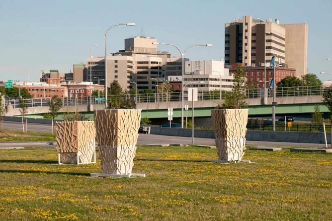 I Walk This Earth, Therefore I Dream, Sophia Sobers, 2014, wood, plexiglass, plants, and solar powered LED lights |Image courtesy of Sophia Sobers
