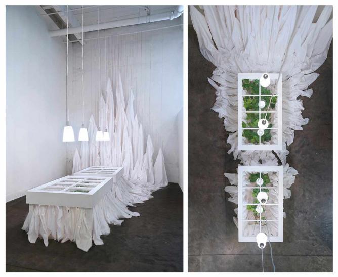 The Night She Wept, Sophia Sobers, 2014, sweet potato plants in tables made from windows, fabric, thread, and lights | Image courtesy of Sophia Sobers
