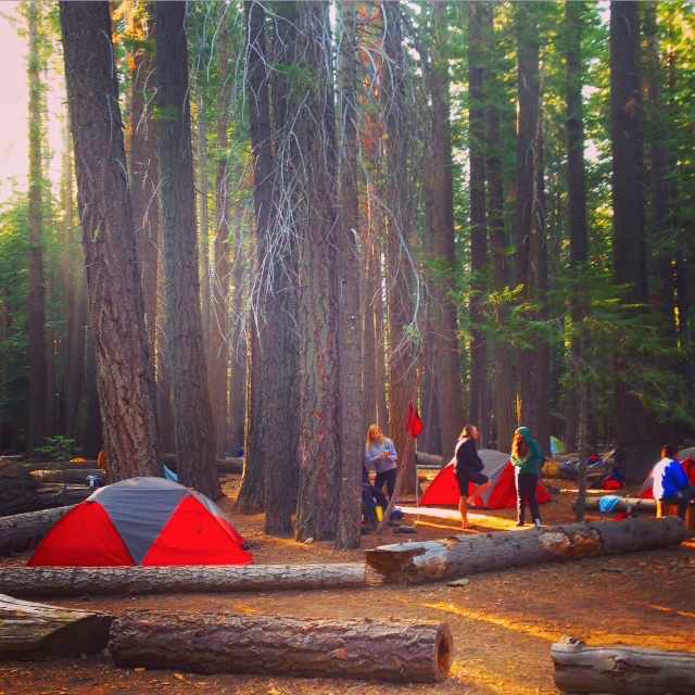 Hikes And Bites Yosemite National Park