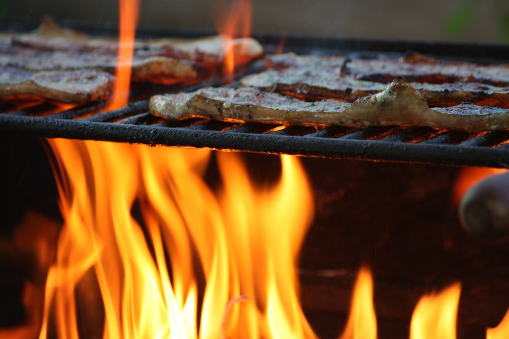 Barbecued Llama | ©Manuel QC/Flickr