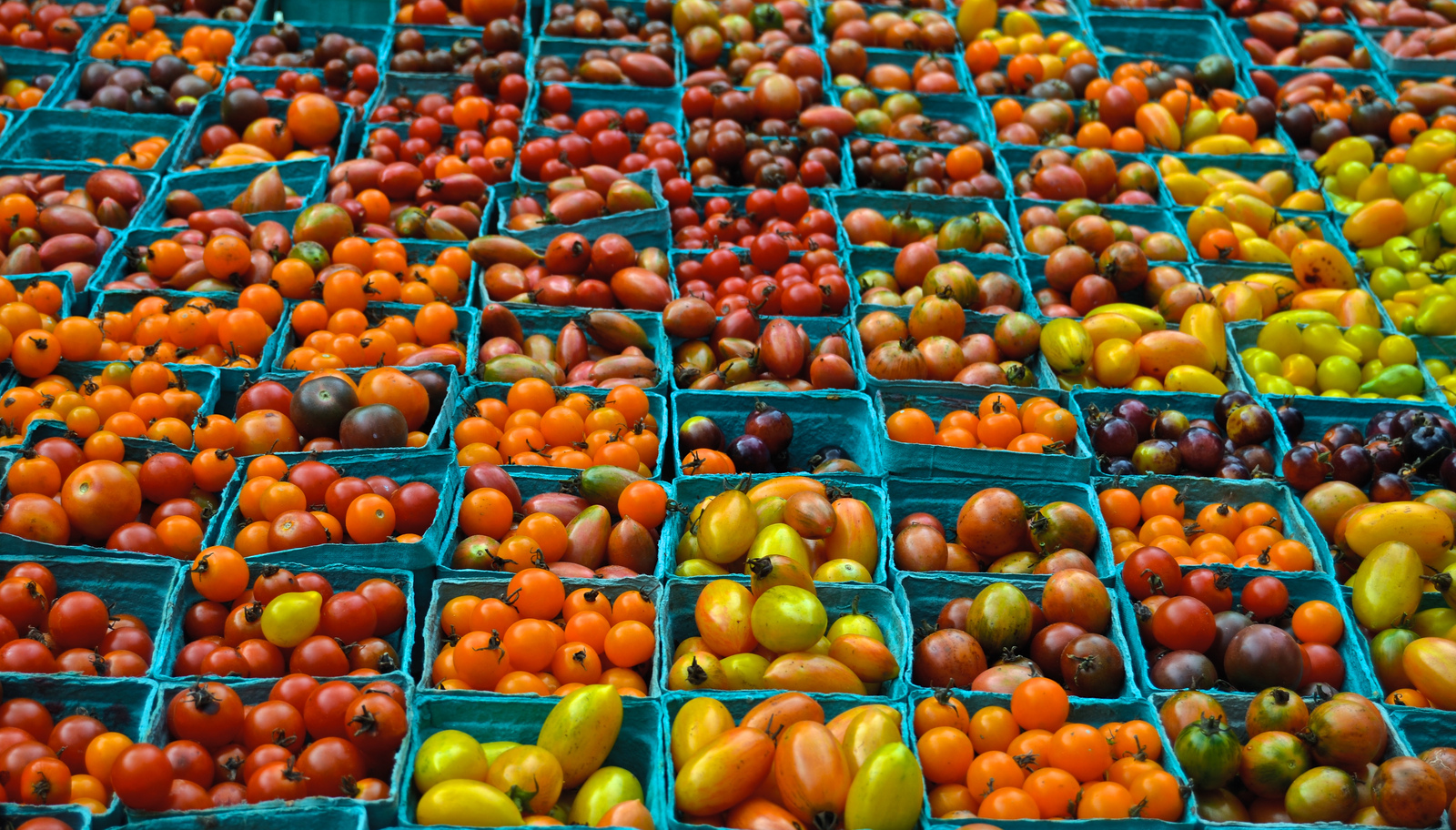 New York City’s 10 Best Food and Farmers' Markets