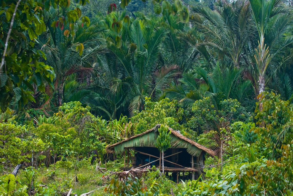 Traditional house in the Mentawai jungle | © Gudkov Andrey/Shutterstock