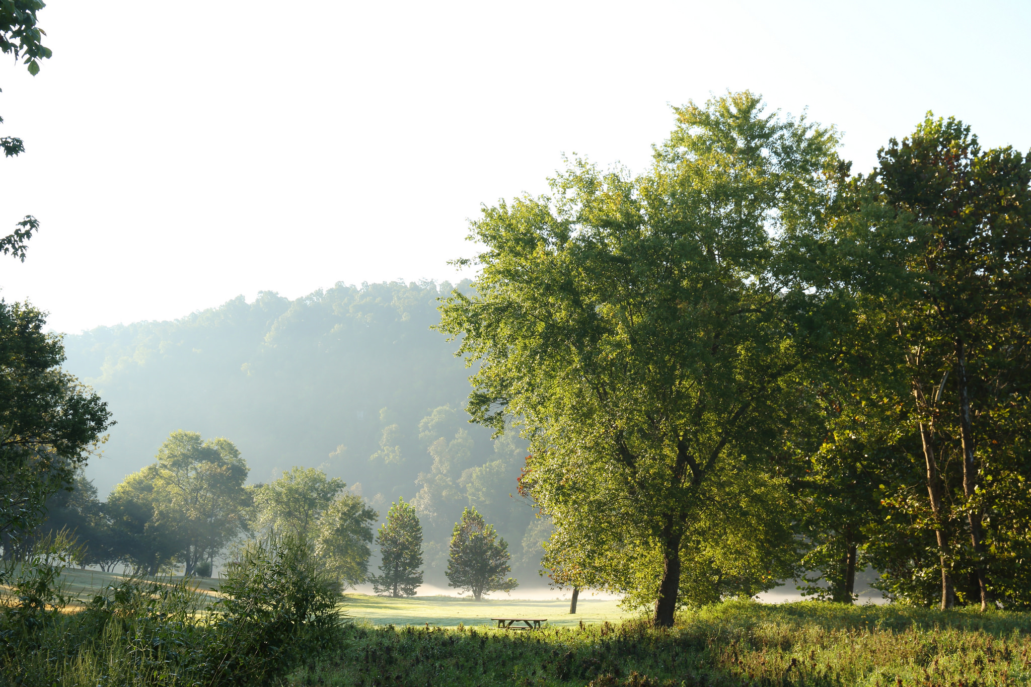 The 10 Most Beautiful Towns In Arkansas