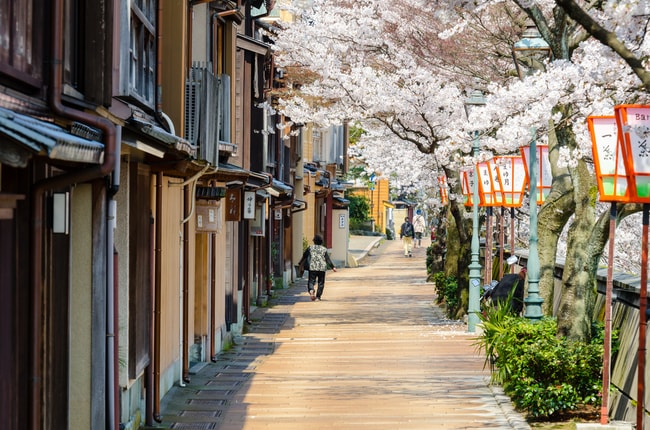 Вишневые цветы, выложенные на улицах Канадзавы | © Lifebrary / Shutterstock