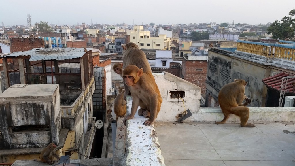 Varanasi India
