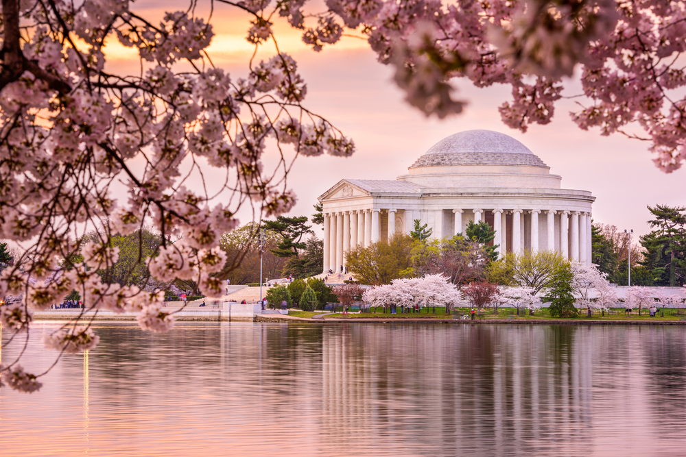 Tidal Basin and Jefferson Memorial during spring © Sean Pavone / Shutterstock