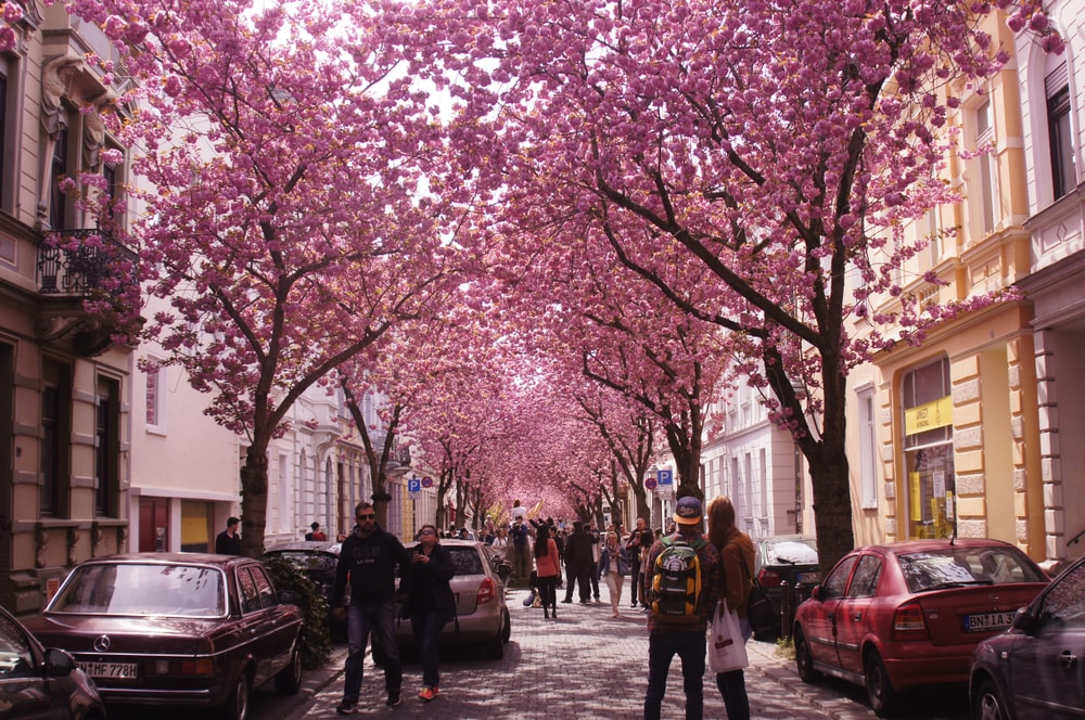 Heerstrasse in Bonn, Germany