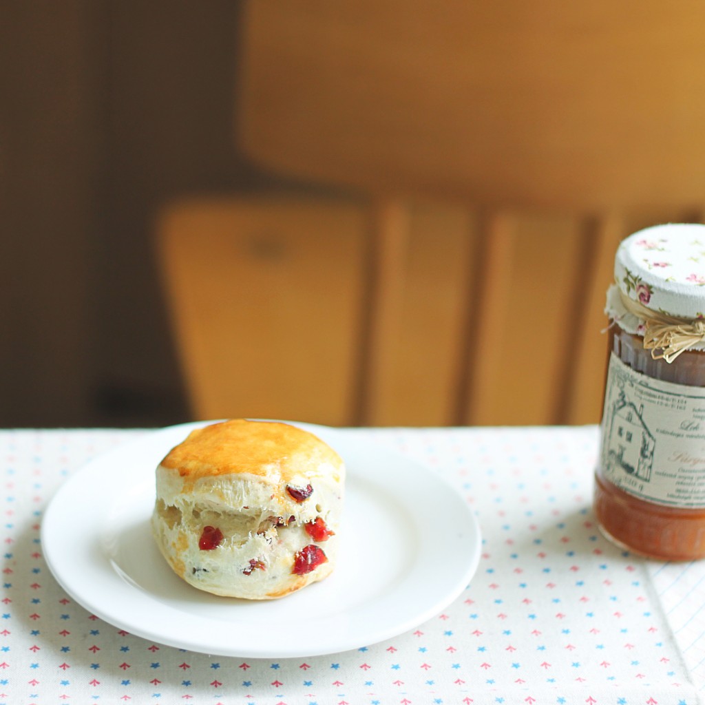 Cranberry Scone | ©Helen.Yang/Flickr
