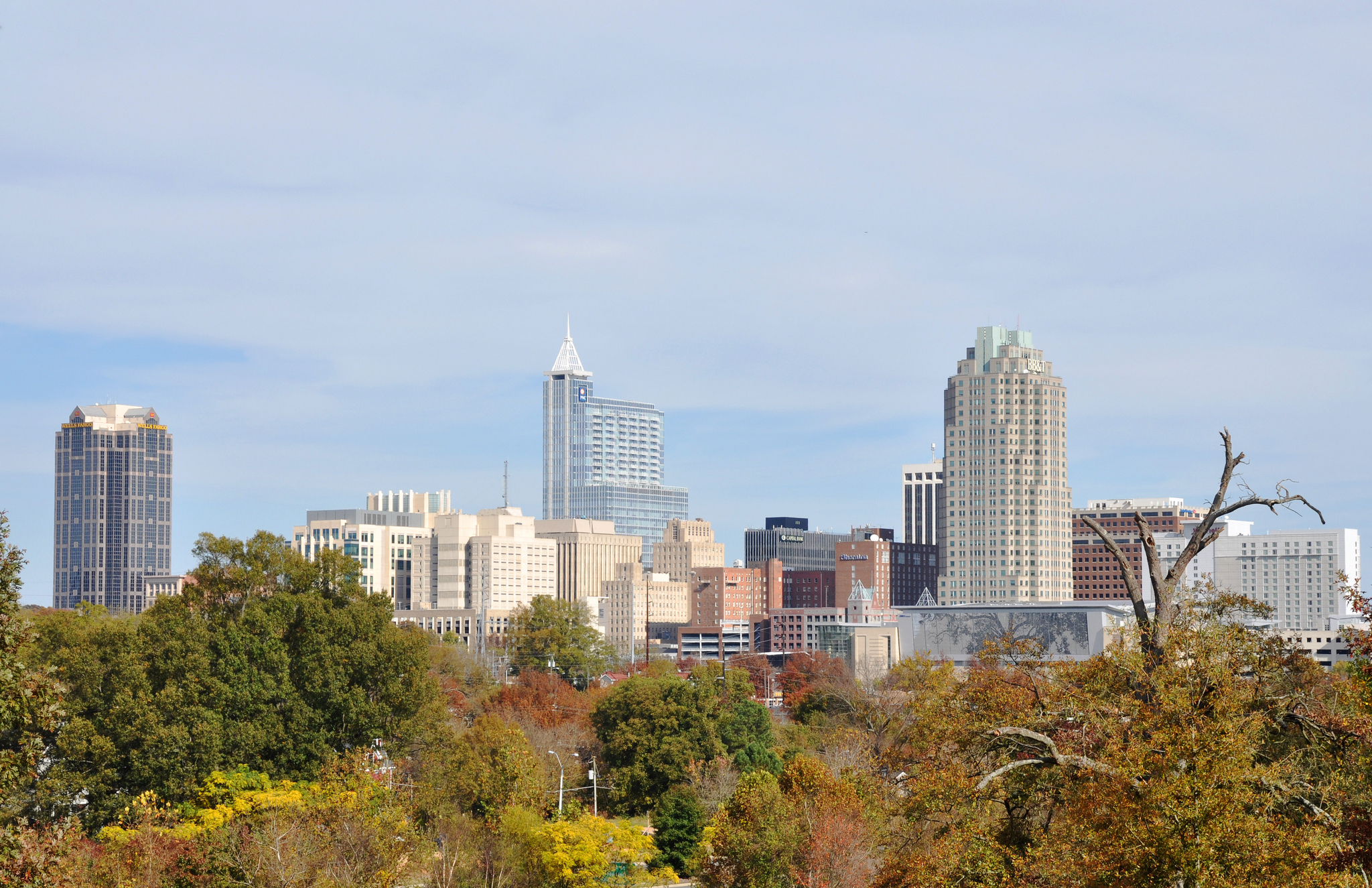 The 10 Best Restaurants In Raleigh North Carolina