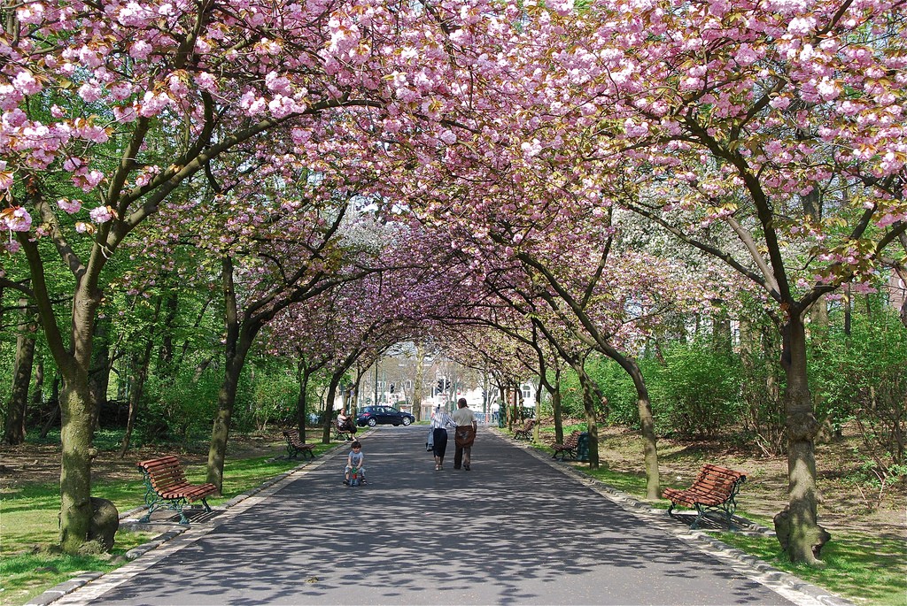 The 10 Best Things To See Do In Schaerbeek