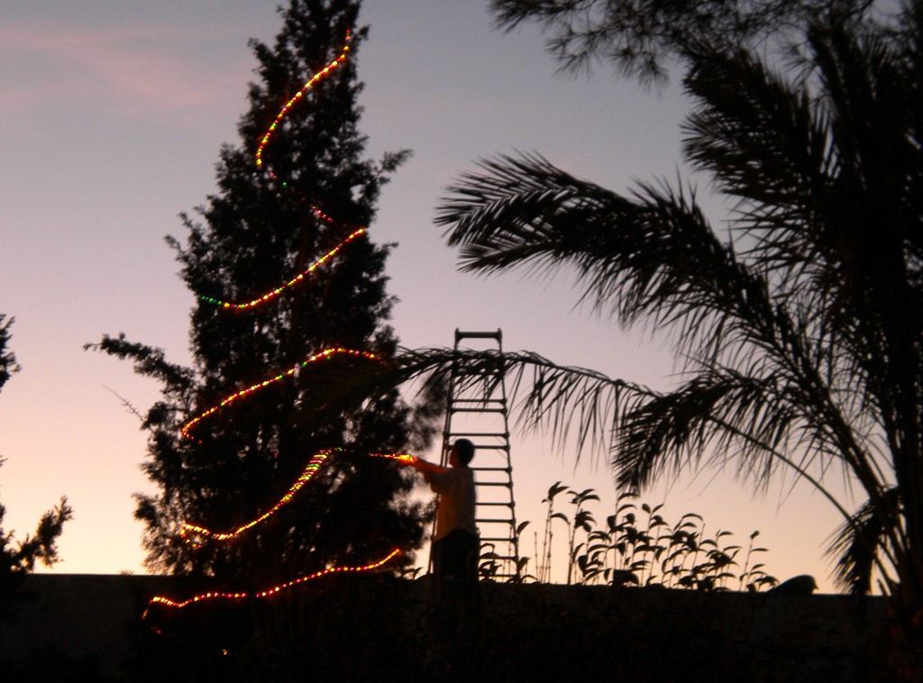 Christmas markets have already been set up and are operating in various cities around Israel © Dario Morandotti / Flickr