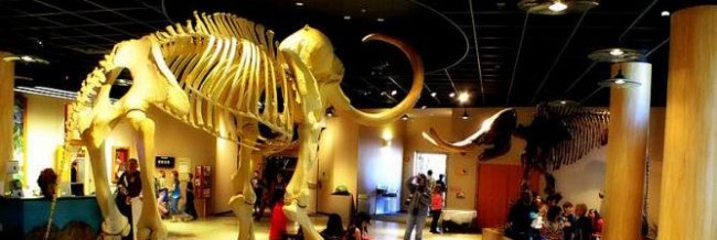 Museum Of Natural History Mesa Arizona Museum Of Natural History Mesa Arizona