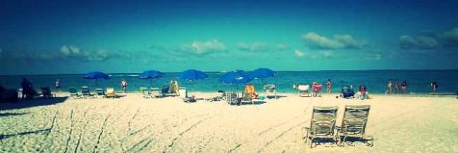 The 10 Best Restaurants In Sarasota Florida Best Restaurants In Sarasota Florida