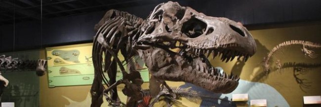 The 5 Best Museums In Cleveland