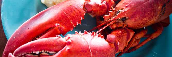 The Top 5 Restaurants in Le Mont-Saint-Michel, France
