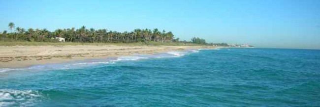 Top Restaurants In Boynton Beach Top Restaurants In Boynton Beach