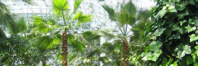 The Best Indoor Gardens In Chicago