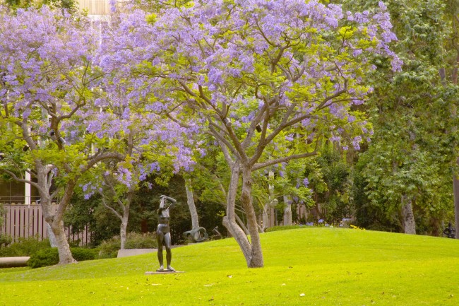 Murphy Sculpture Garden | © Courtesy of the Hammer Museum