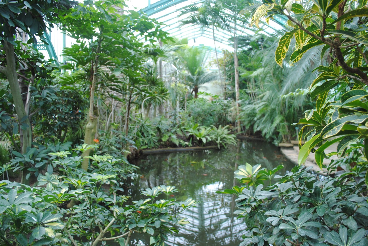 Indoor gardens in paris: urban retreats