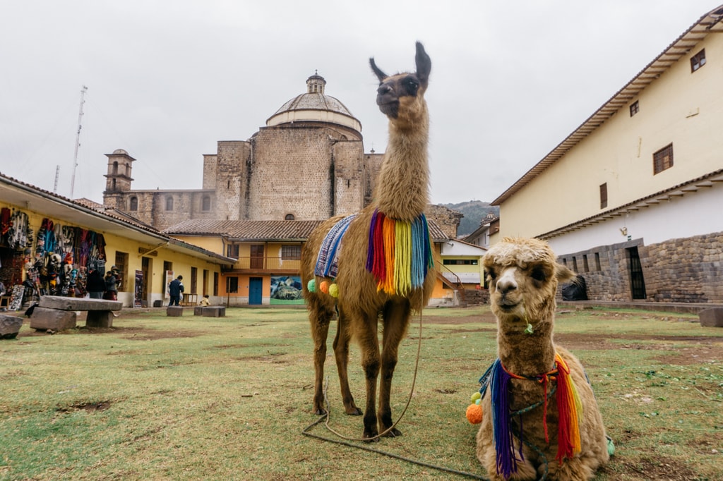 SCTP0057-MIA-CUSCO-8