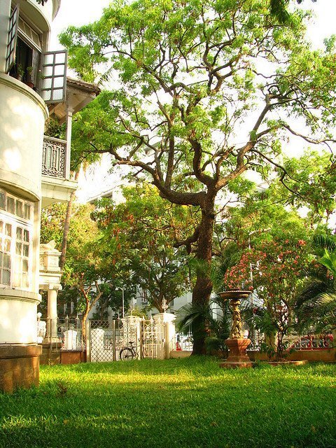 A typical Victorian design apartment at Dadar Parsi Colony ©Kaushal Karkhanis/Flickr