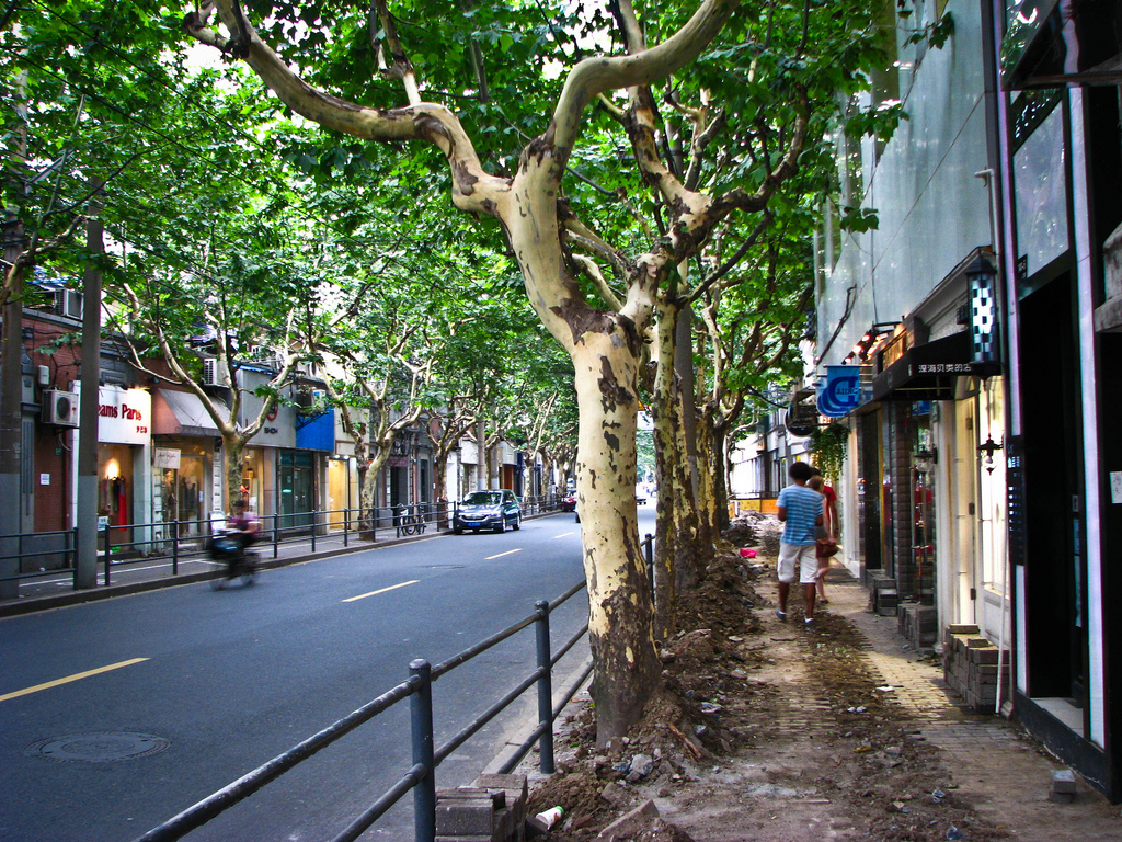 The Top 10 Restaurants In The French Concession, Shanghai