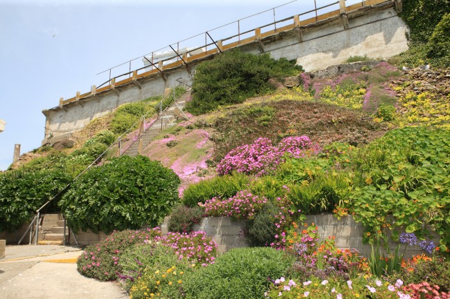 10 beautiful and peaceful gardens to escape to in san francisco 10 beautiful and peaceful gardens to escape to in san francisco