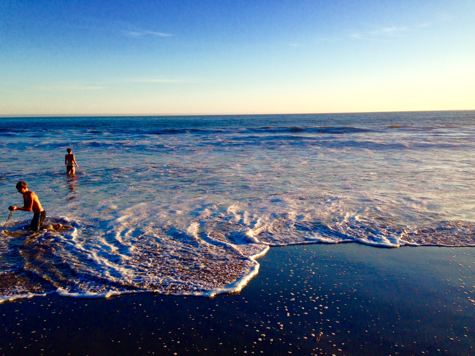 Hikes And Bites Marin County (The Dipsea And Stinson Beach)