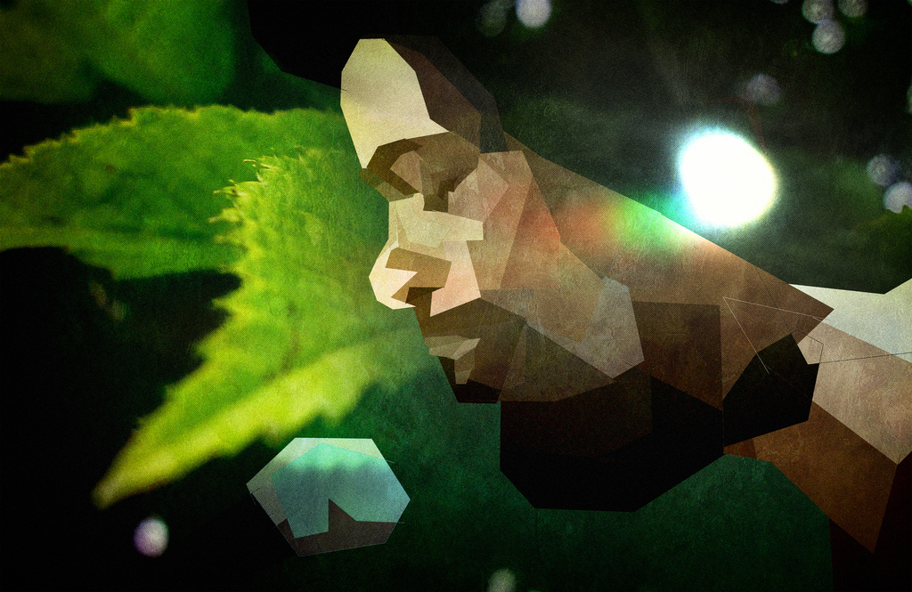 An Introduction To Gil Scott Heron In 10 Songs